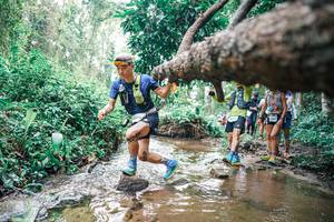 BIB: 
                            <button type="button" onclick="openModal(25372851)" class="btn btn-primary btn-sm float-right btn-popup" data-toggle="modal" data-target=".modal-high-quality">
                        <i class="fas fa-shopping-cart"></i> Add to Cart
                    </button>
                                            <button type="button" onclick="isThisMe(25372851, true)" class="btn btn-success btn-sm float-right btn-popup btn-isme hidden" data-toggle="tooltip" data-placement="bottom" title="นี่คือรูปของคุณใช่ไหม คลิกที่นี่เพื่อเอาเข้าอัลบั้ม">
                        <i class="fas fa-plus"></i> Add to album
                    </button>
                    <button type="button" onclick="isThisMe(25372851, false)" class="btn btn-warning btn-sm float-right btn-popup btn-isnotme hidden">
                        <i class="fas fa-ban"></i> Remove from album
                    </button>